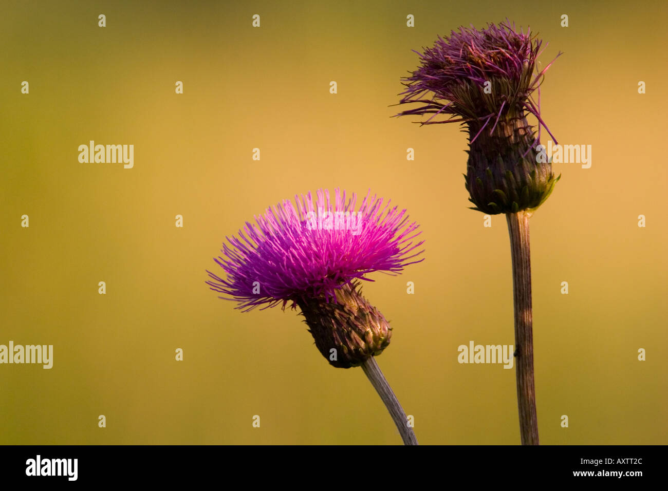 old-and-new-stock-photo-alamy