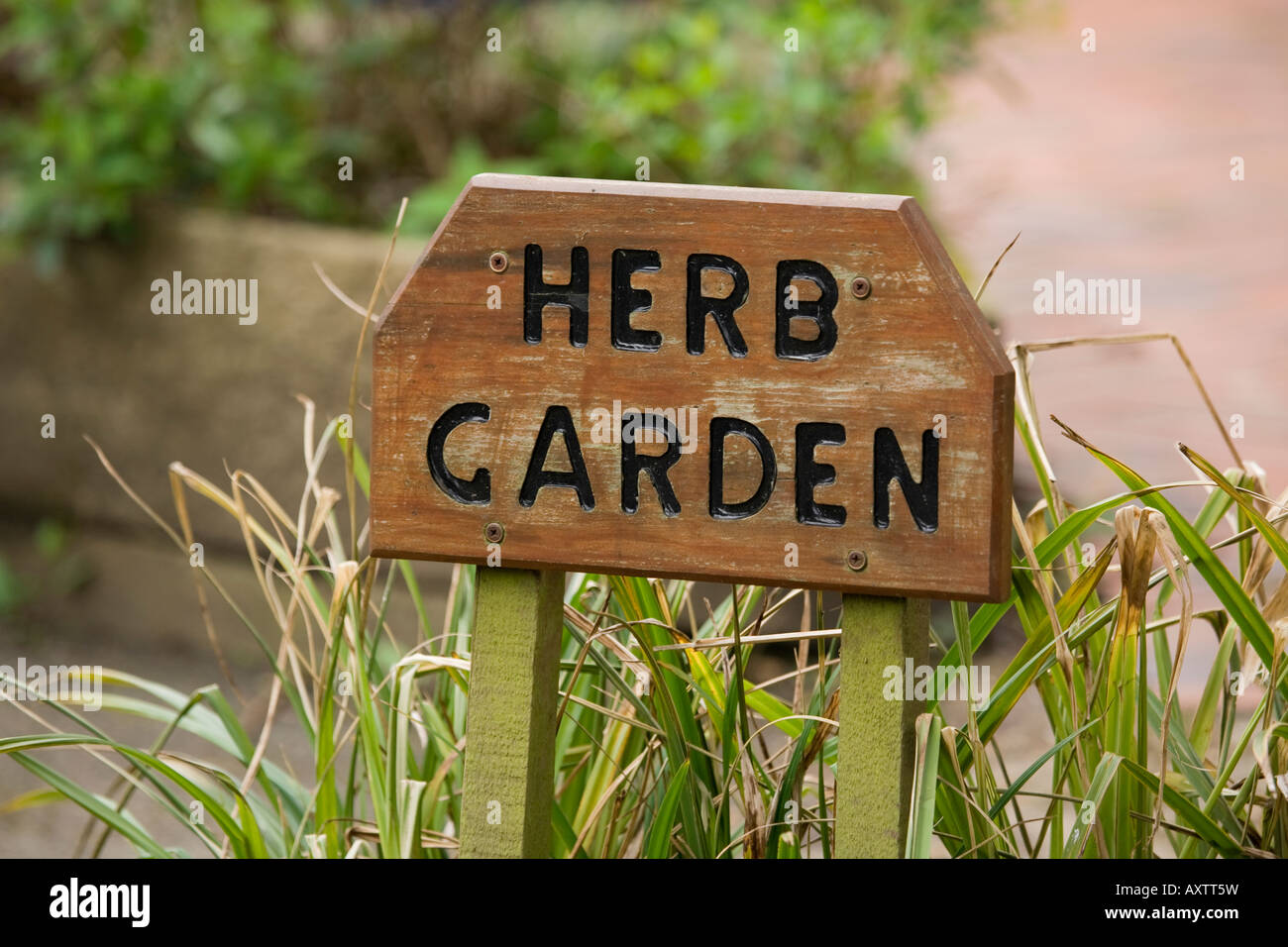 Close up of a wooden herb garden sign Stock Photo