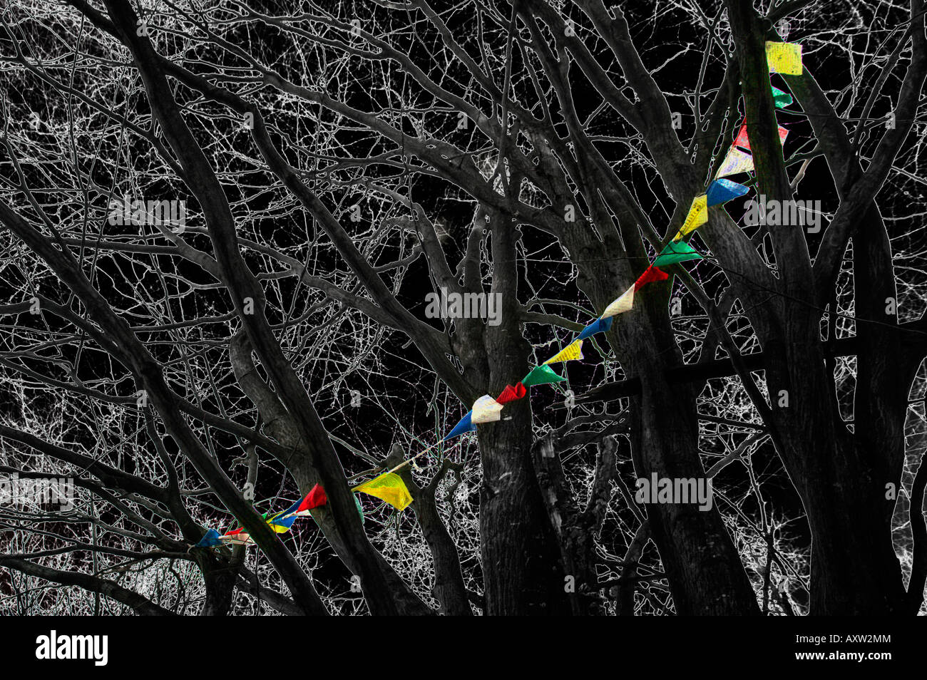 Tibetan buddhist prayer flag hanging dark forest tree unreal eerie strange art colourful line arc many Stock Photo