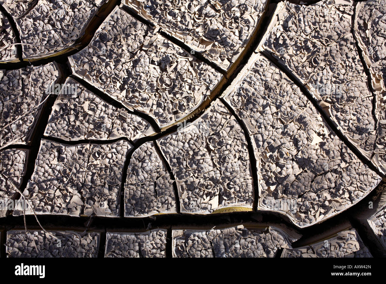 Cracks in dried mud Stock Photo Alamy