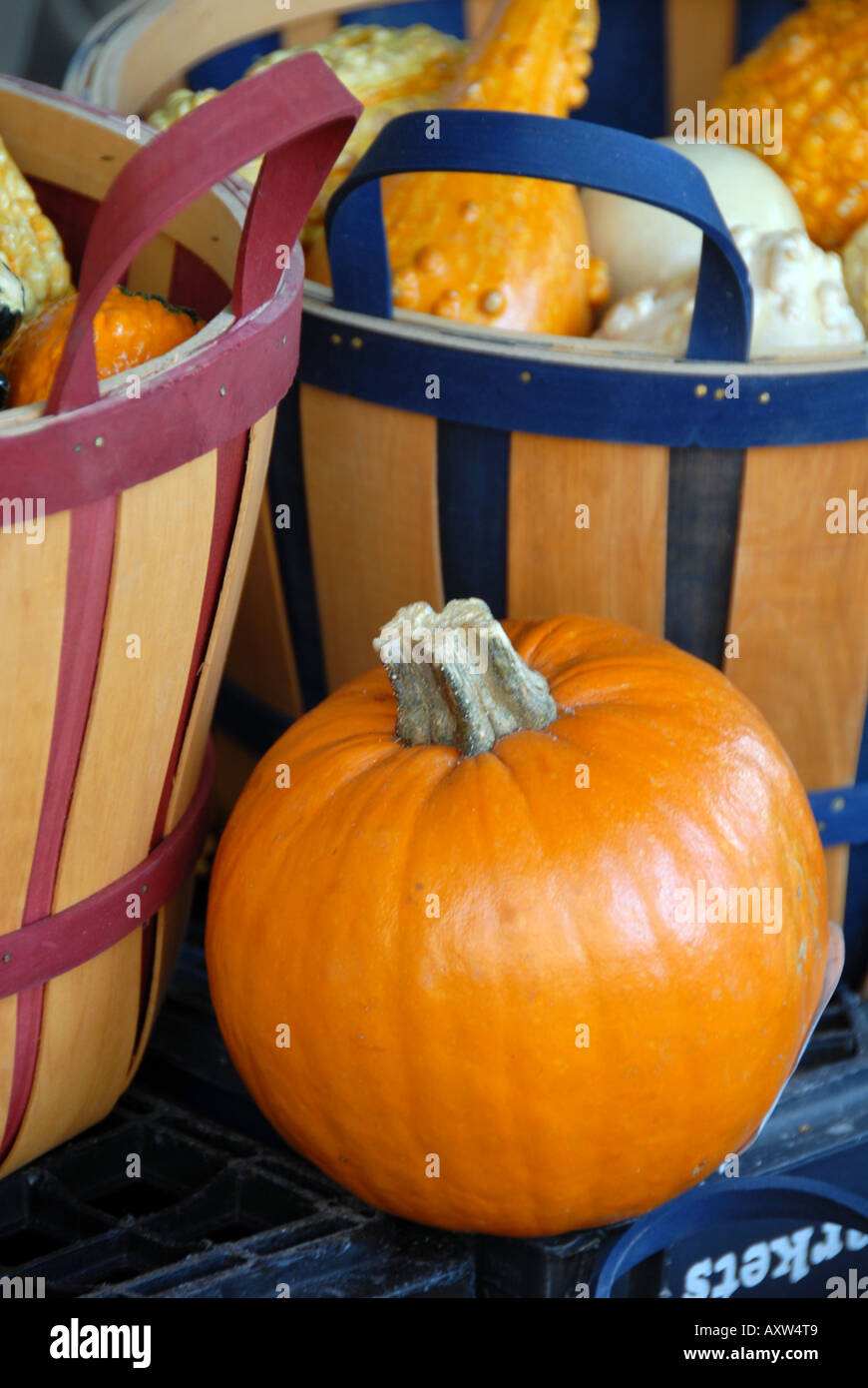 Outdoor pumpkin display at a gourmet food market Stock Photo - Alamy