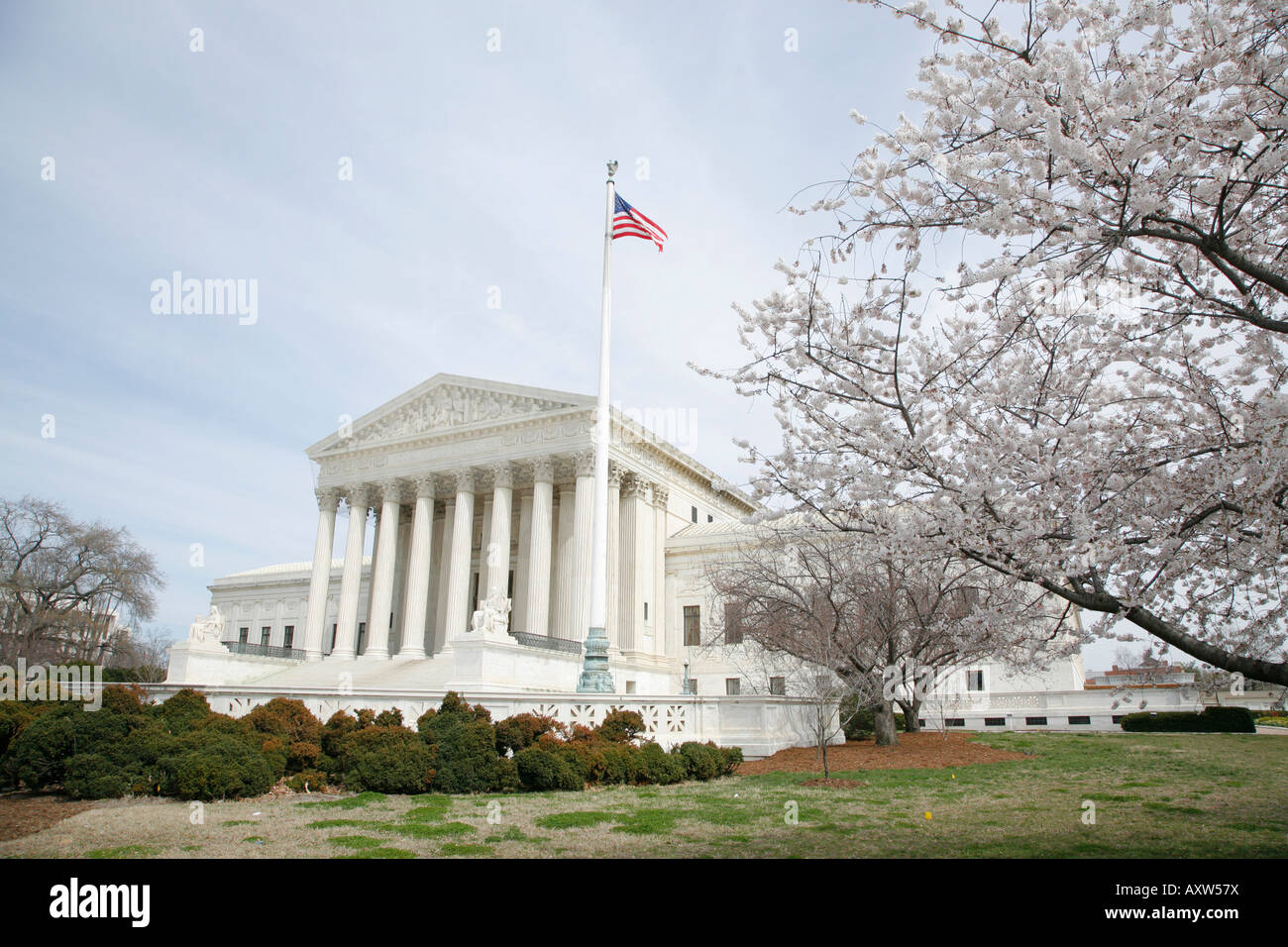 US Supreme Court building, Cherry Blossoms, Washington DC, USA Stock Photo