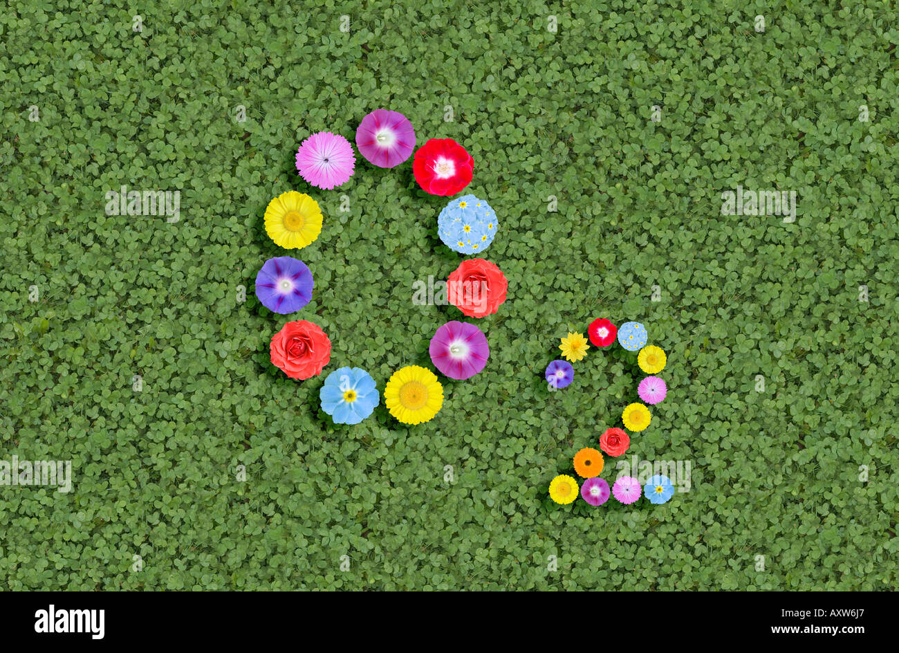 chemical formula of Oxygen written with flowers Stock Photo Alamy