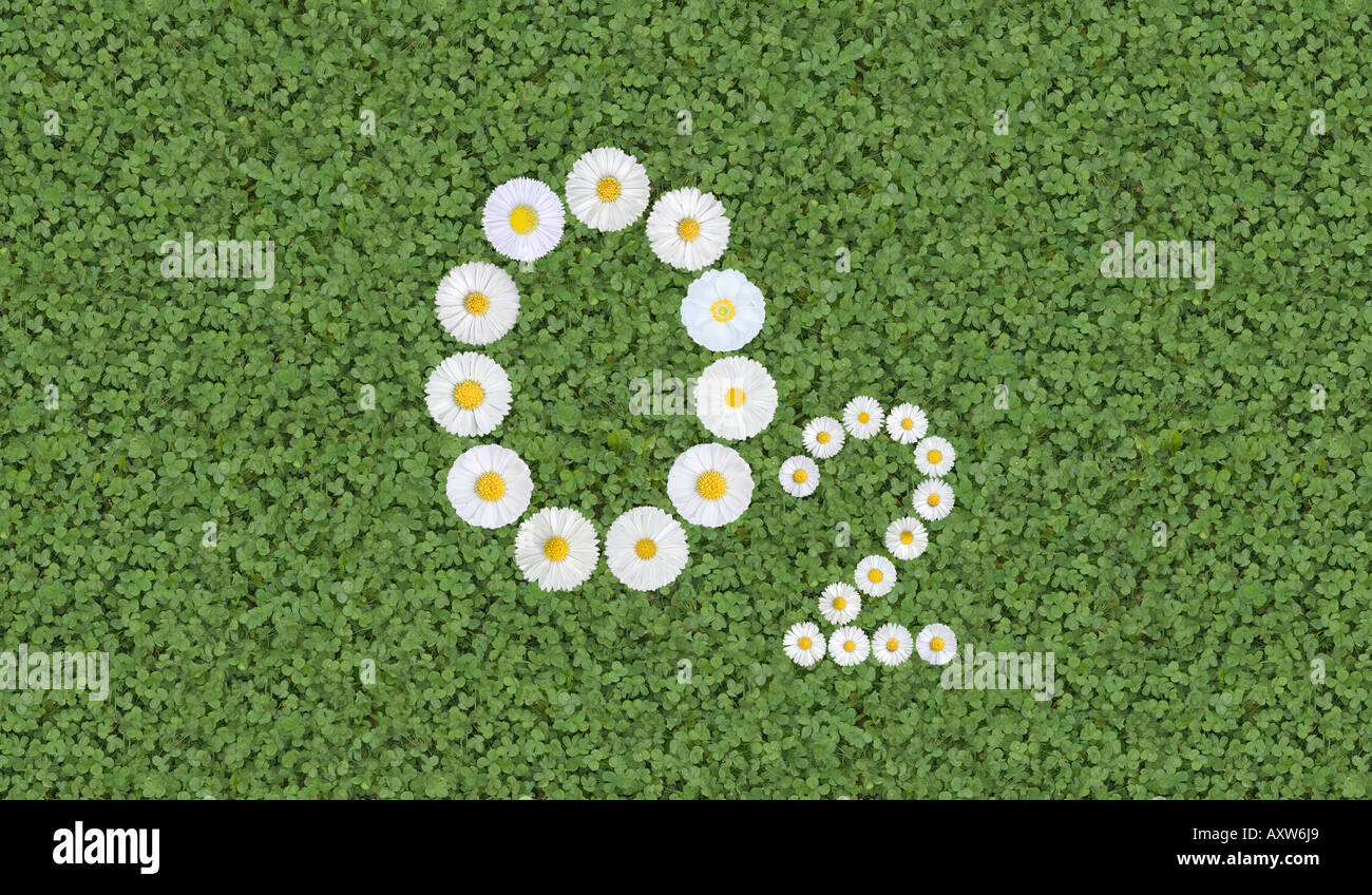 chemical formula of Oxygen written with flowers Stock Photo Alamy