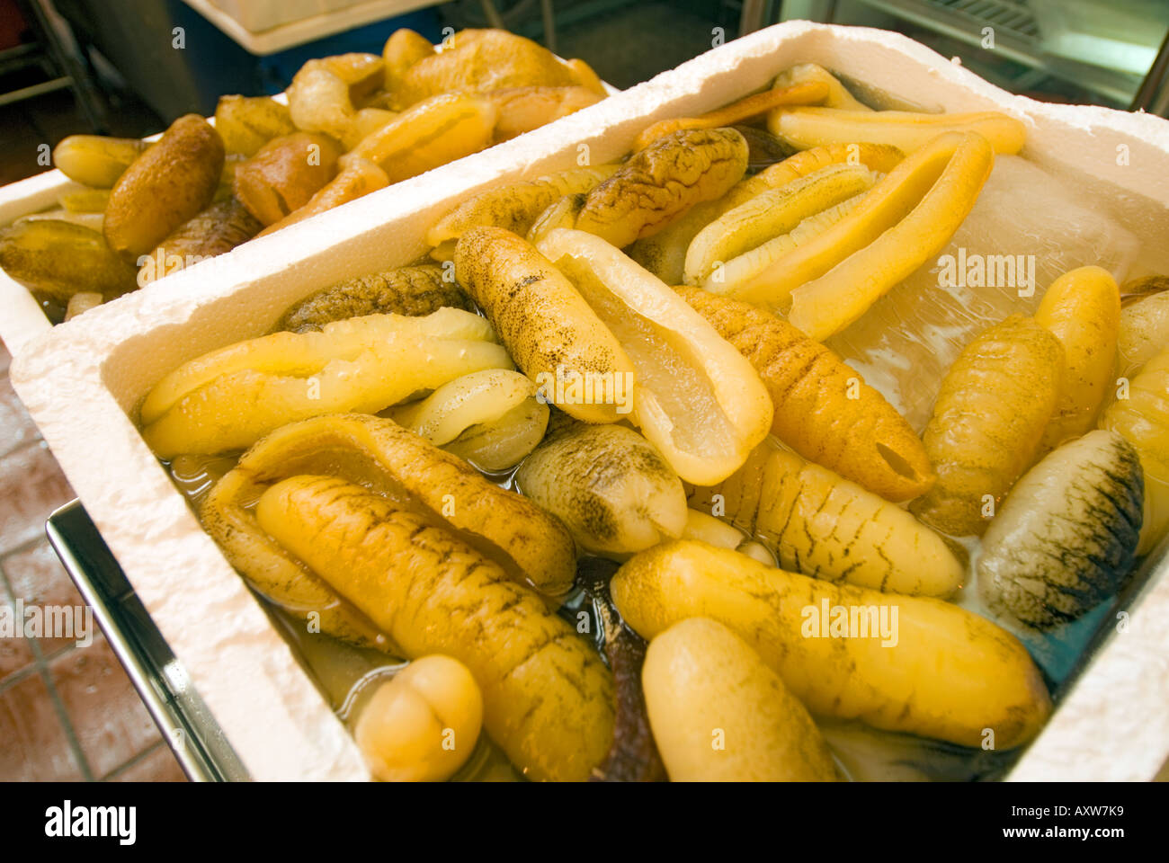 sea cucumber Tekka Centre Little India fishmarket fish market SINGAPORE
