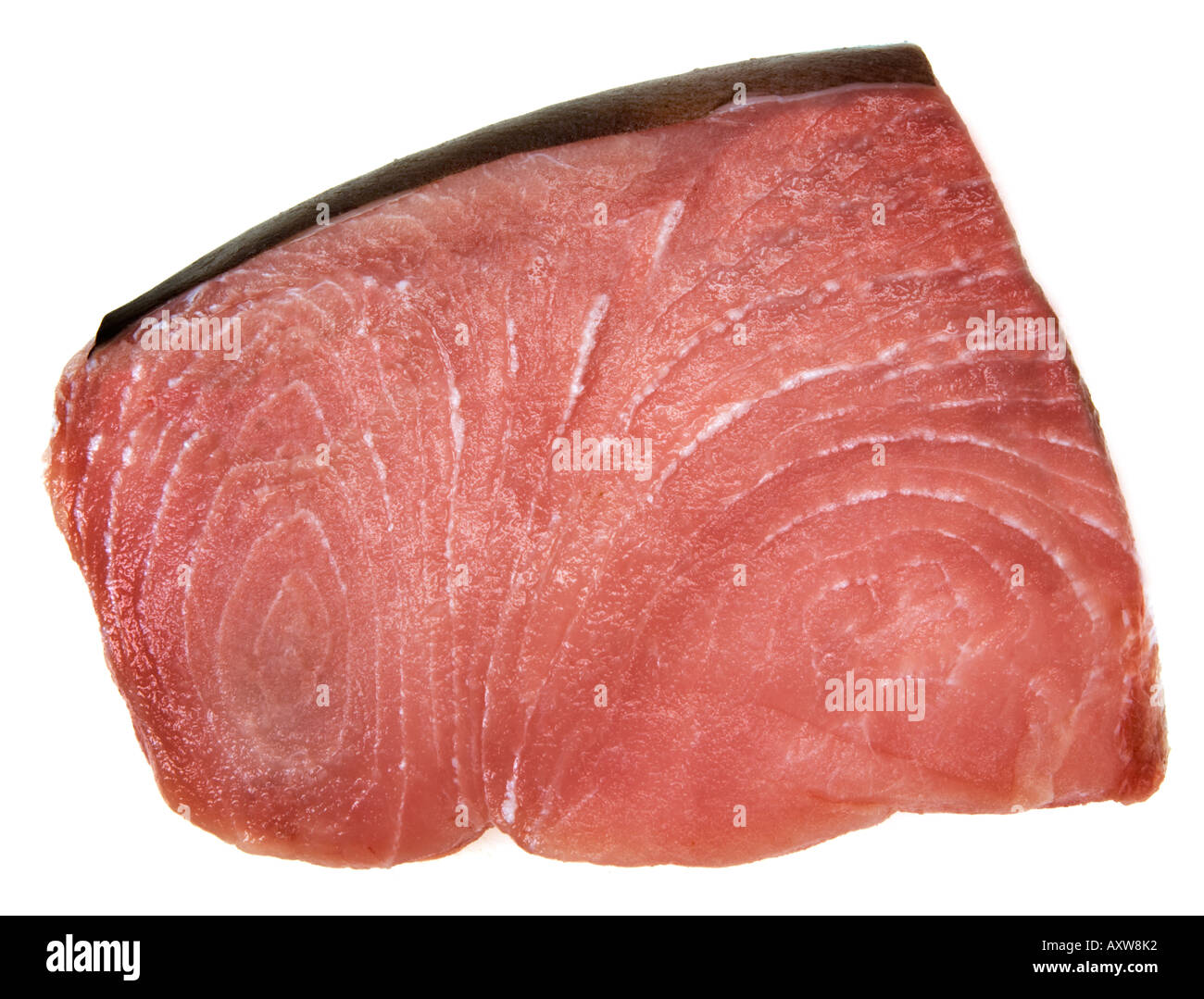 very fresh raw sword, fish, swordfish Xiphias gladius fillet steak
