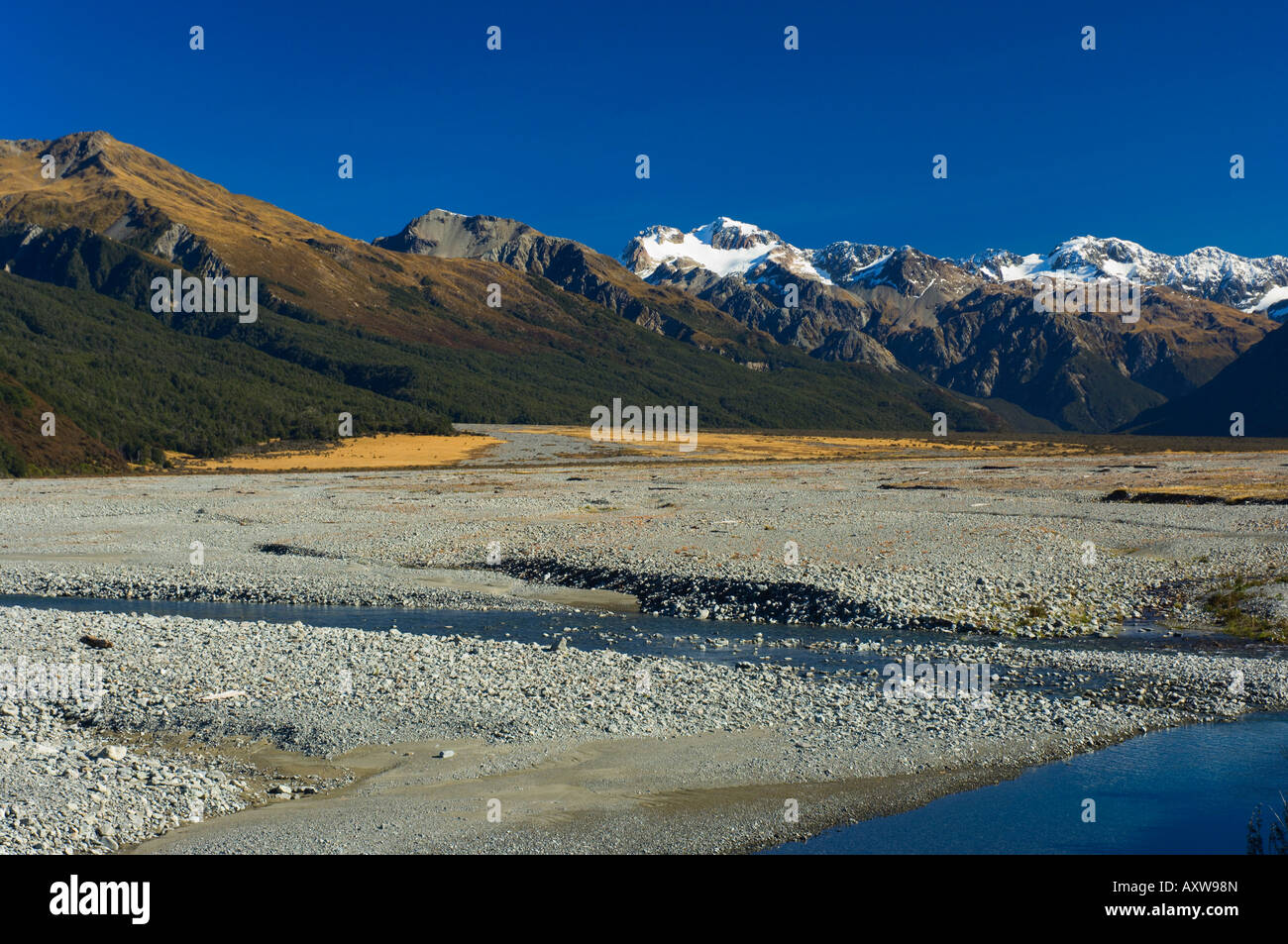 Waimakariri Valley, Arthur's Pass, Southern Alps, Canterbury, South Island, New Zealand, Pacific Stock Photo