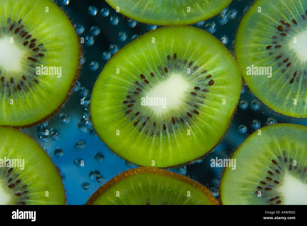 Kiwi fruit farm new zealand hires stock photography and images Alamy