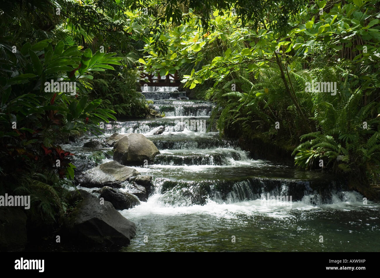 Tabacon Hot Springs, Volcanic hot springs fed from the Arenal Volcano, Arenal, Costa Rica Stock Photo