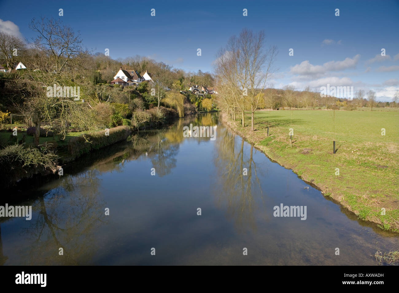 The River Stour at Spetisbury Dorset Stock Photo Alamy