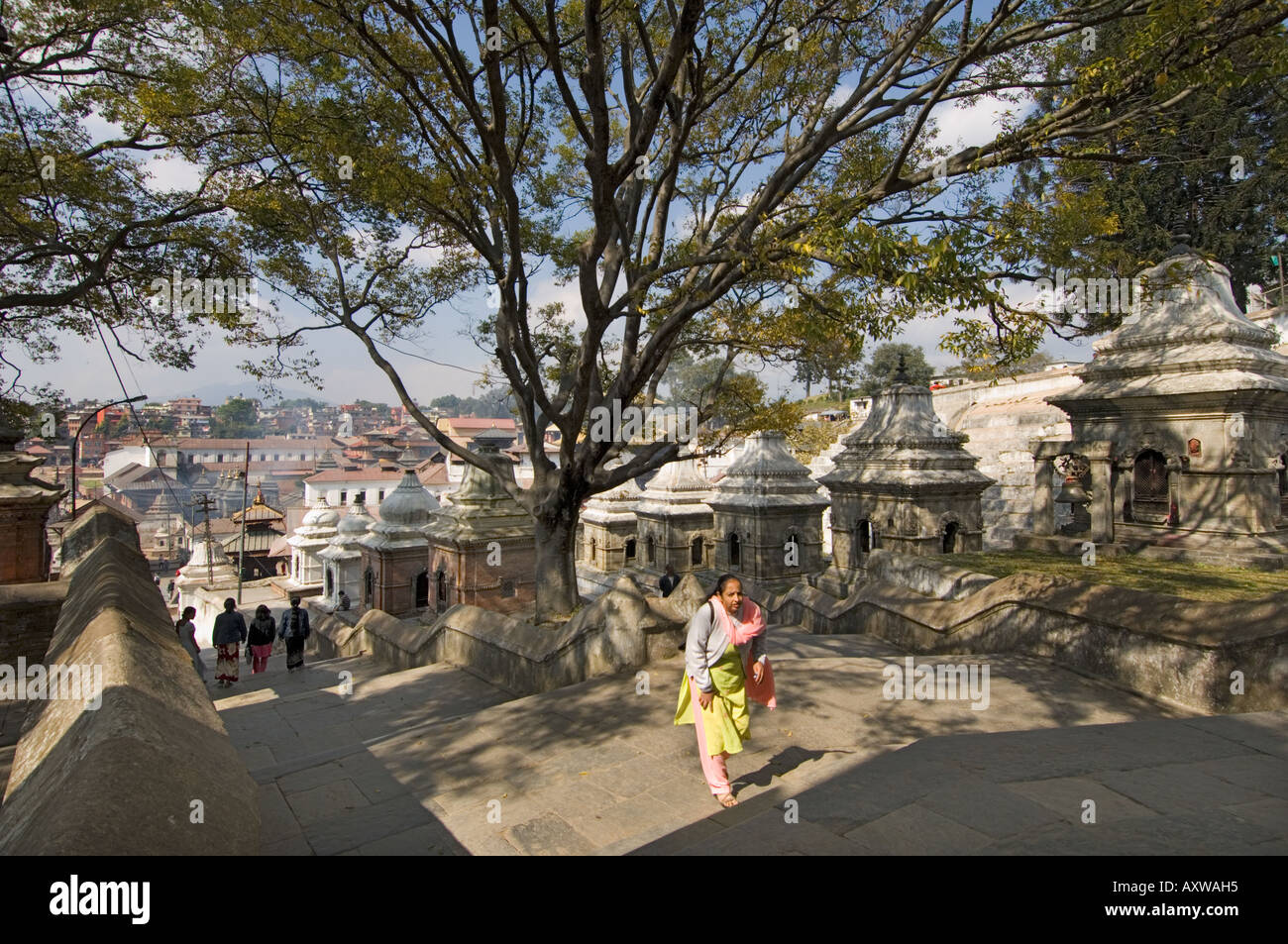 Pashupatinath Tempel cremation area pashu pati kathmandu bodnath NEPAL  ASIA Stock Photo