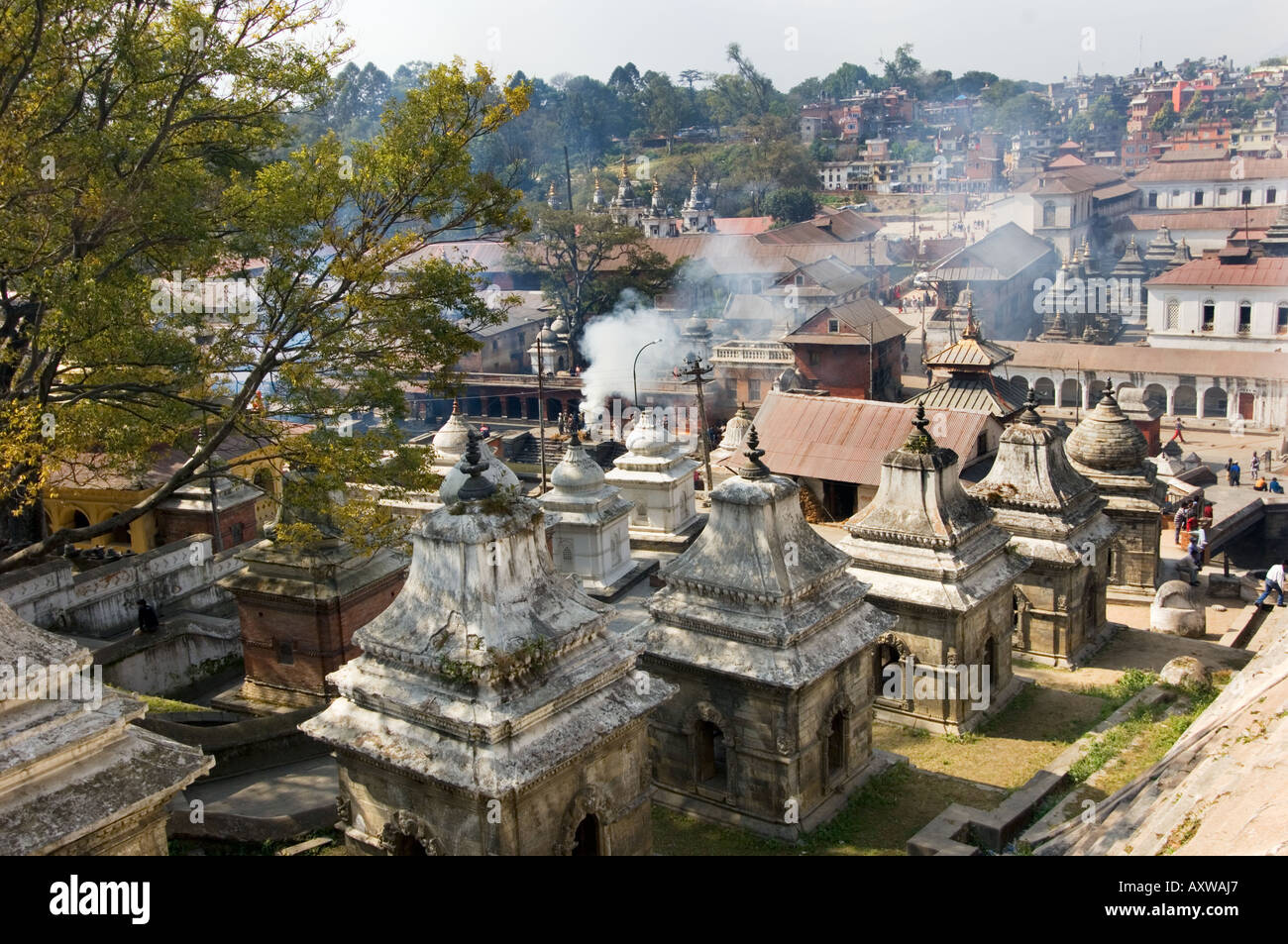 Pashupatinath Tempel cremation area pashu pati kathmandu bodnath NEPAL  ASIA Stock Photo