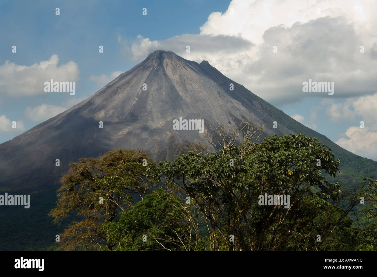 Arenal Volcano from the Sky Tram, Costa Rica Stock Photo