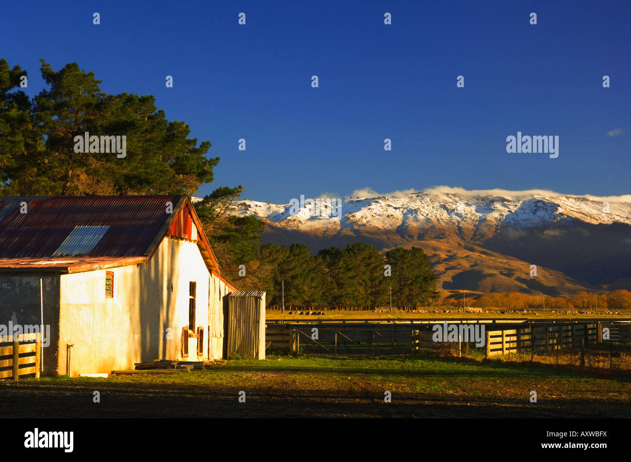 Farm and Dunstan Range, Central Otago, South Island, New Zealand