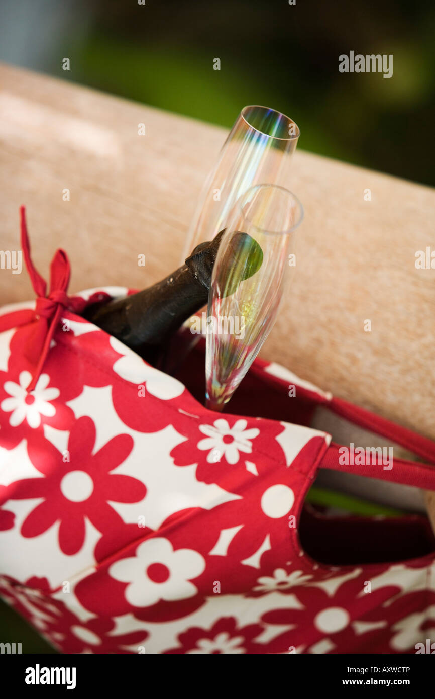 Champagne in a Bag Stock Photo Alamy