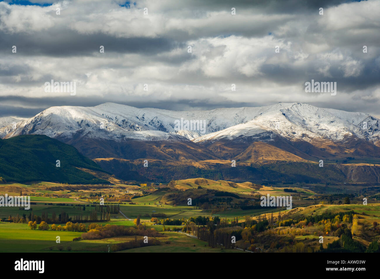 Farmland in autumn, Queenstown, Central Otago, South Island, New Zealand, Pacific Stock Photo