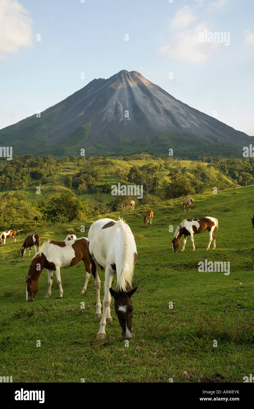 Arenal Volcano from the La Fortuna side, Costa Rica Stock Photo