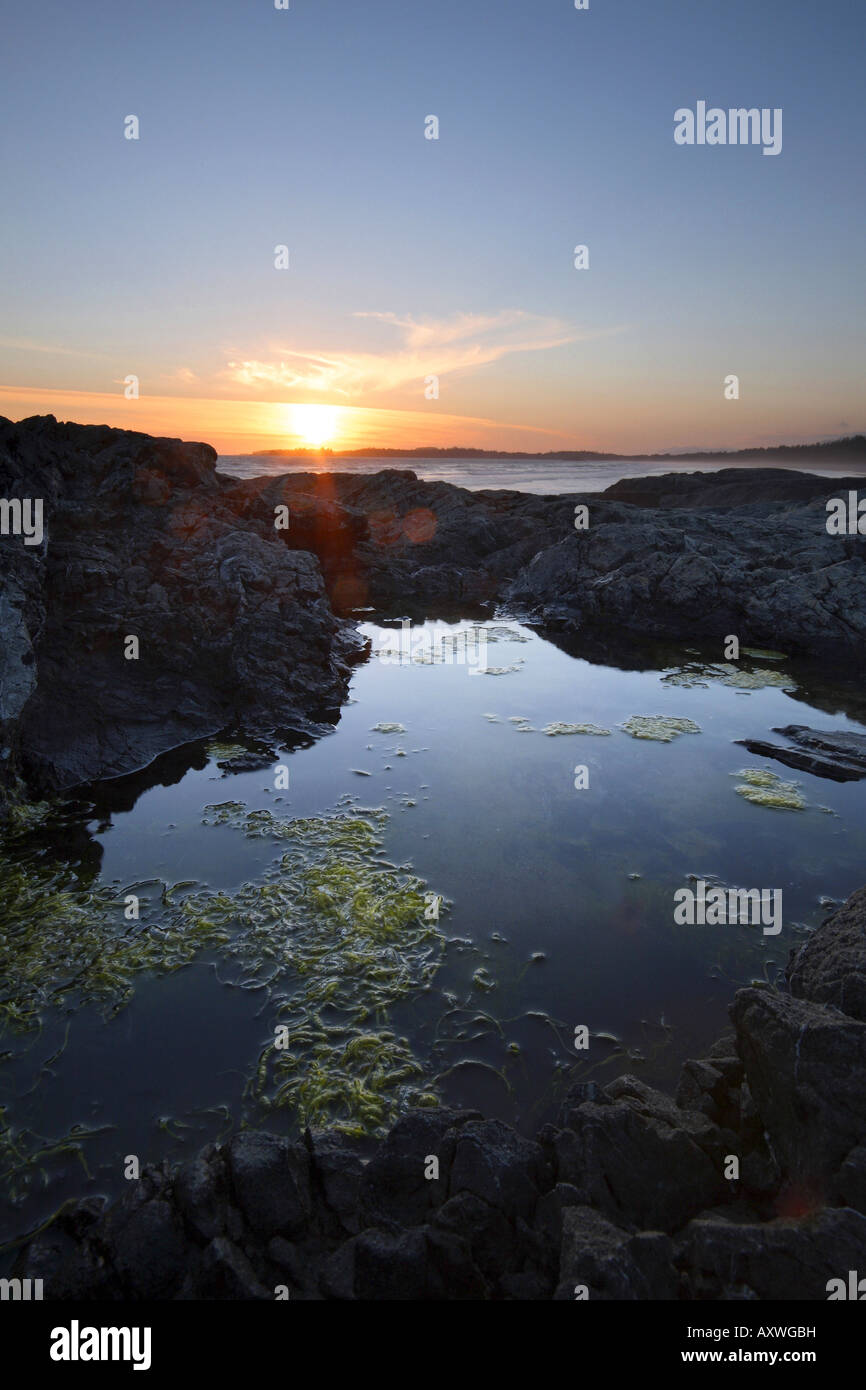 Vancouver Rocks rocks at sunset at the western coast of Vancouver Island, Canada Stock ...