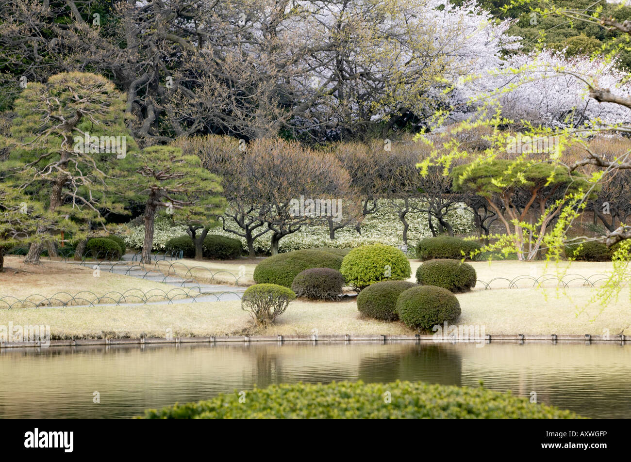SPRING AT SHINJUKU GYOEN NATIONAL GARDEN, TOKYO, JAPAN Stock Photo - Alamy