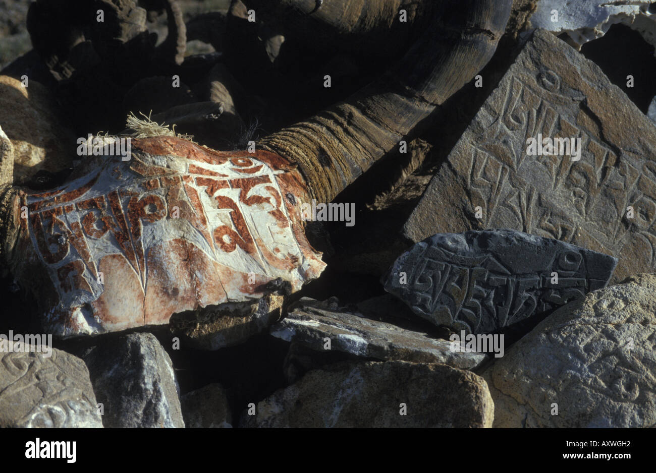 Tibetan Buddhist mani stones and carved yak skull inscribed with prayer Tibetan Plateau Tibet China Stock Photo