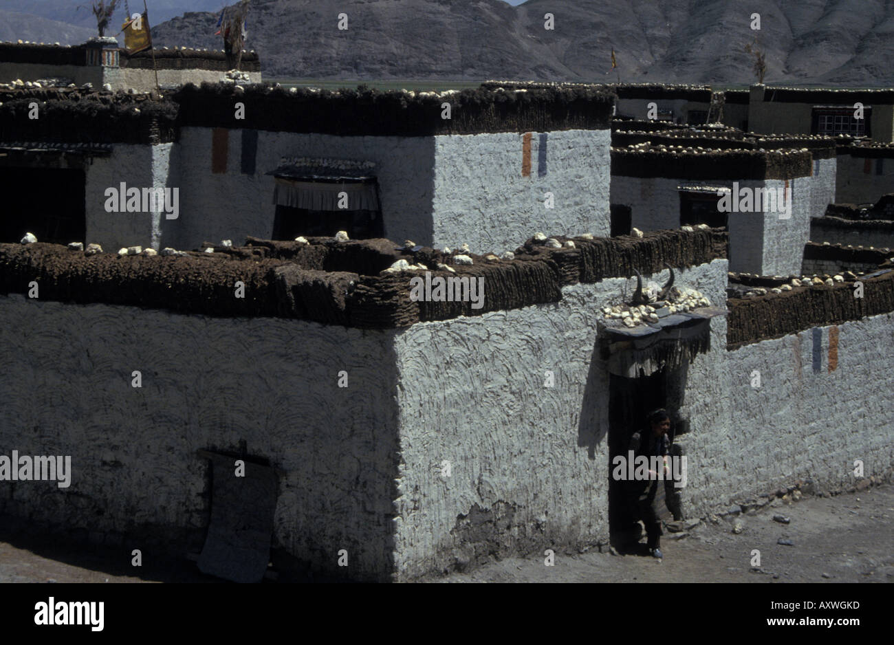 Laze village homes whitewashed stone dwellings houses dried yak dung stacked dried drying flat roofs rooftops Tibetan Plateau Stock Photo