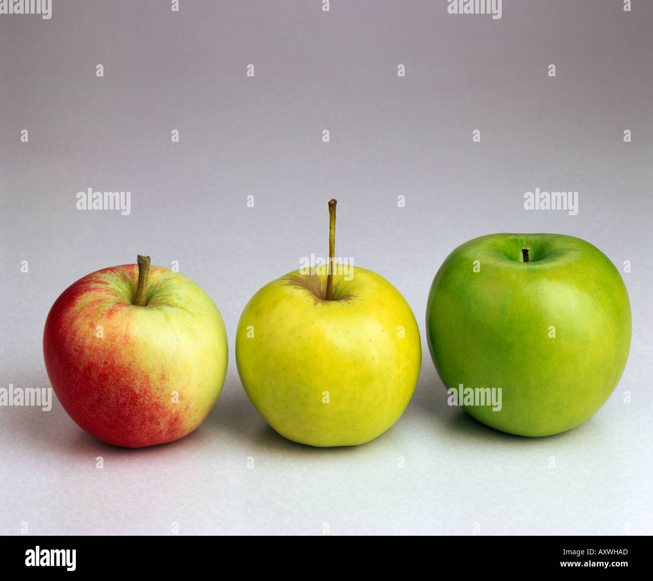 Three apples Katy Golden Delicious Granny Smith Stock Photo Alamy