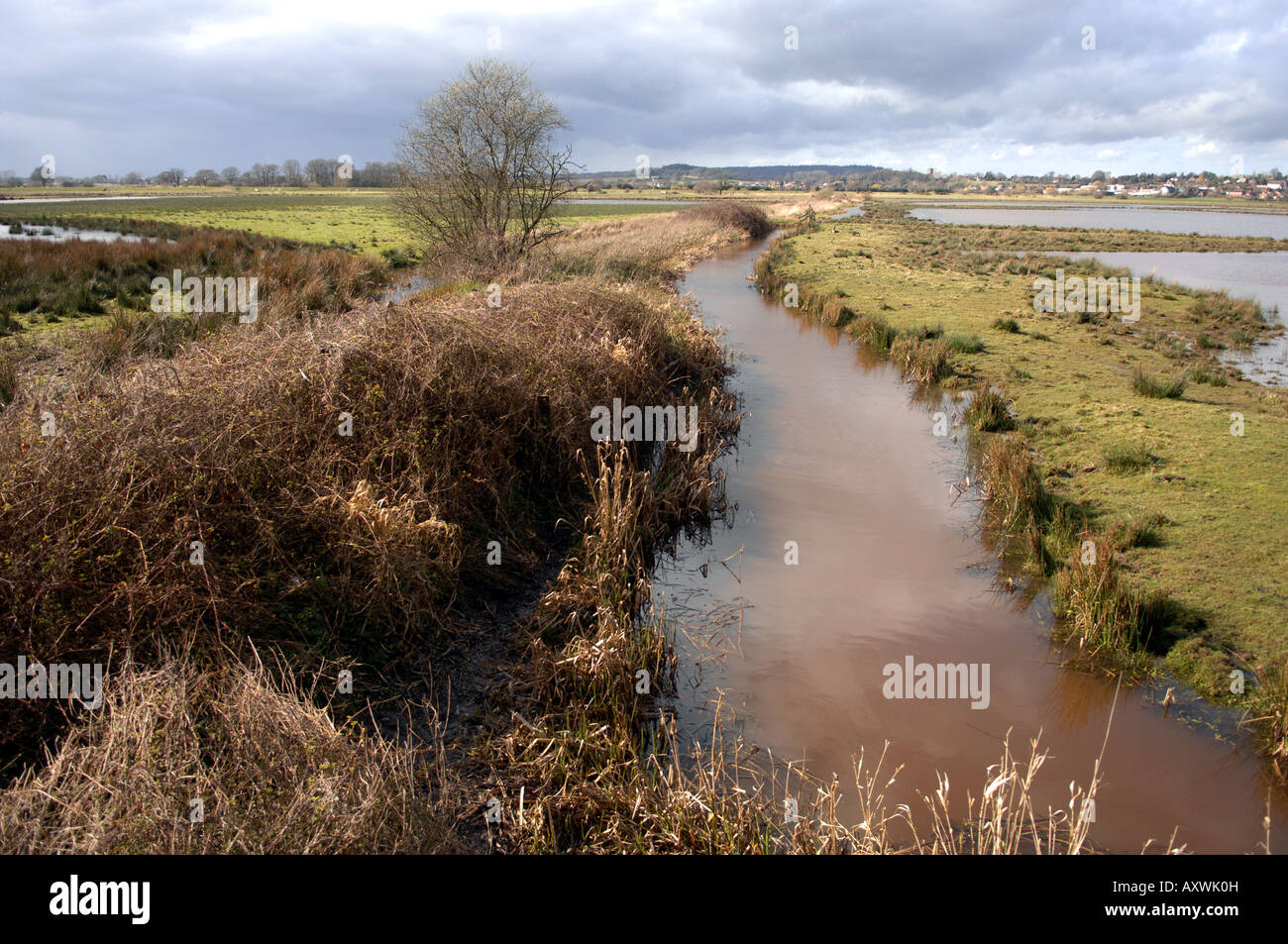 Looking out over the RSPB Pulborough Brooks nature reserve in Sussex Stock Photo