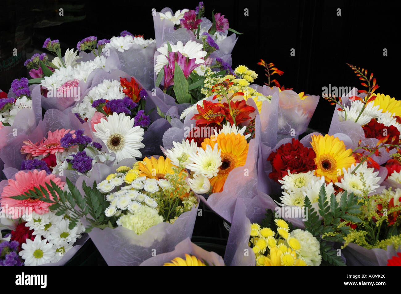 Colourful Flower arrangement Stock Photo