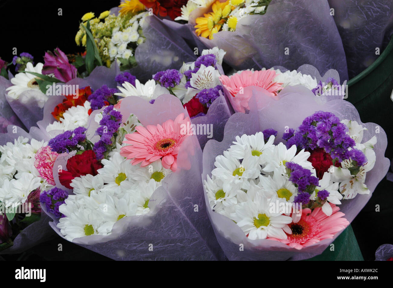 Colourful Flower arrangement Stock Photo