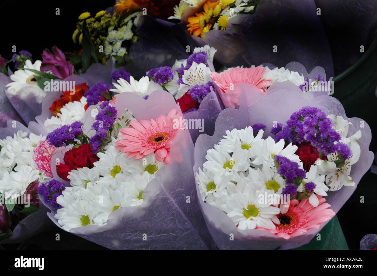 colourful flower arrangement with daisies Stock Photo Alamy