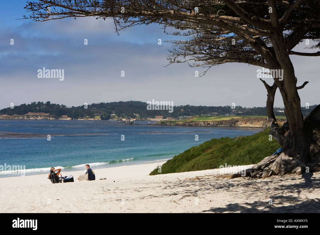 Beach at Carmel California USA September 2006 Stock Photo Alamy