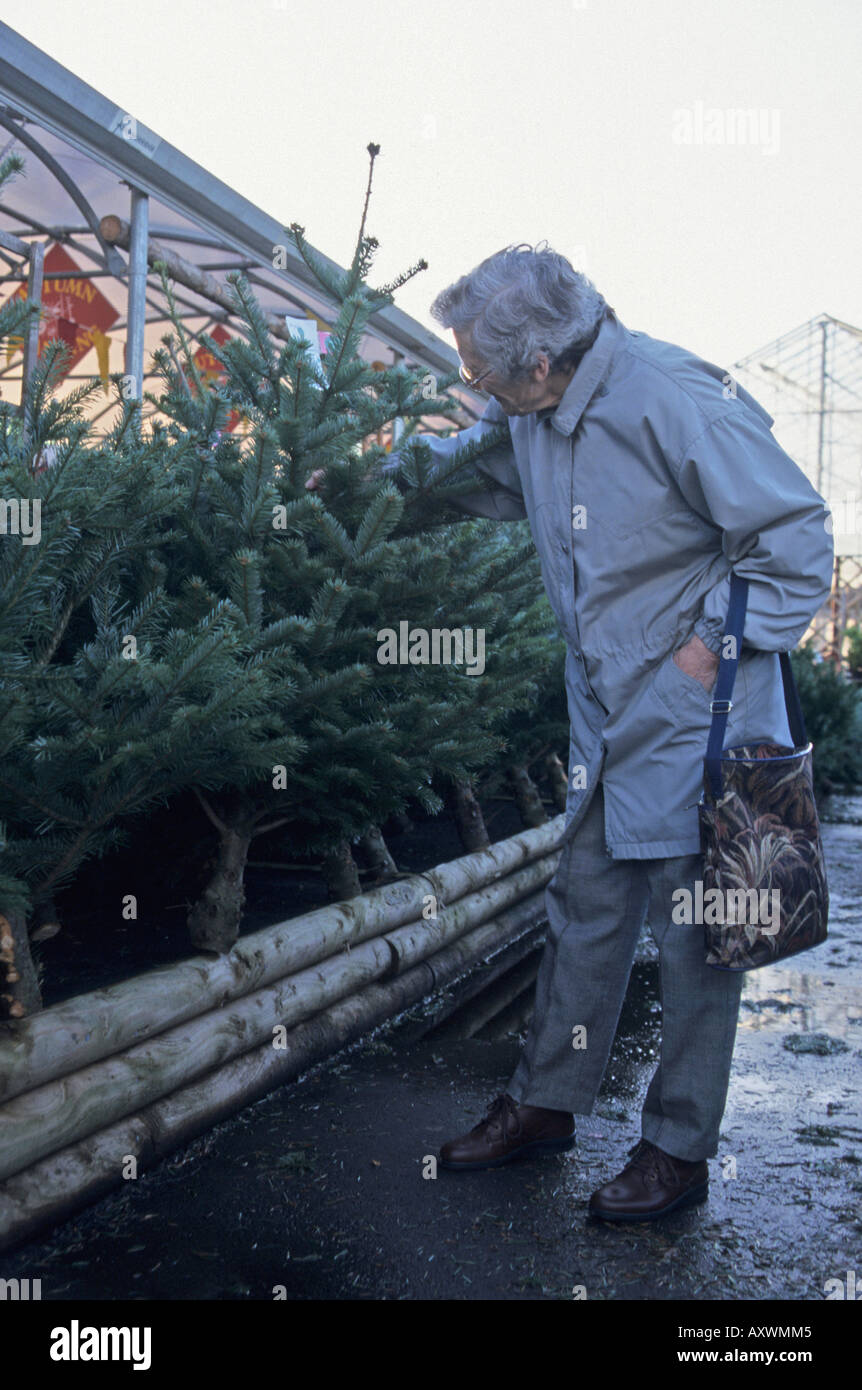 Woman choosing christmas tree hi-res stock photography and images - Alamy
