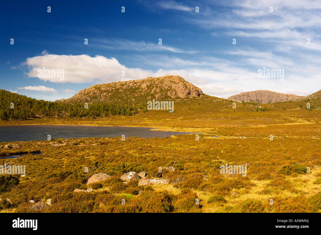 The Temple, Mt. Jerusalem and Lake Salome, Walls of Jerusalem National ...