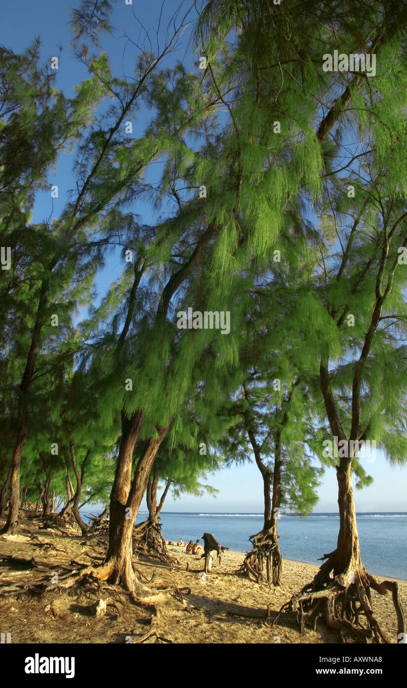 Beach of Etang Salé in Reunion island Stock Photo Alamy