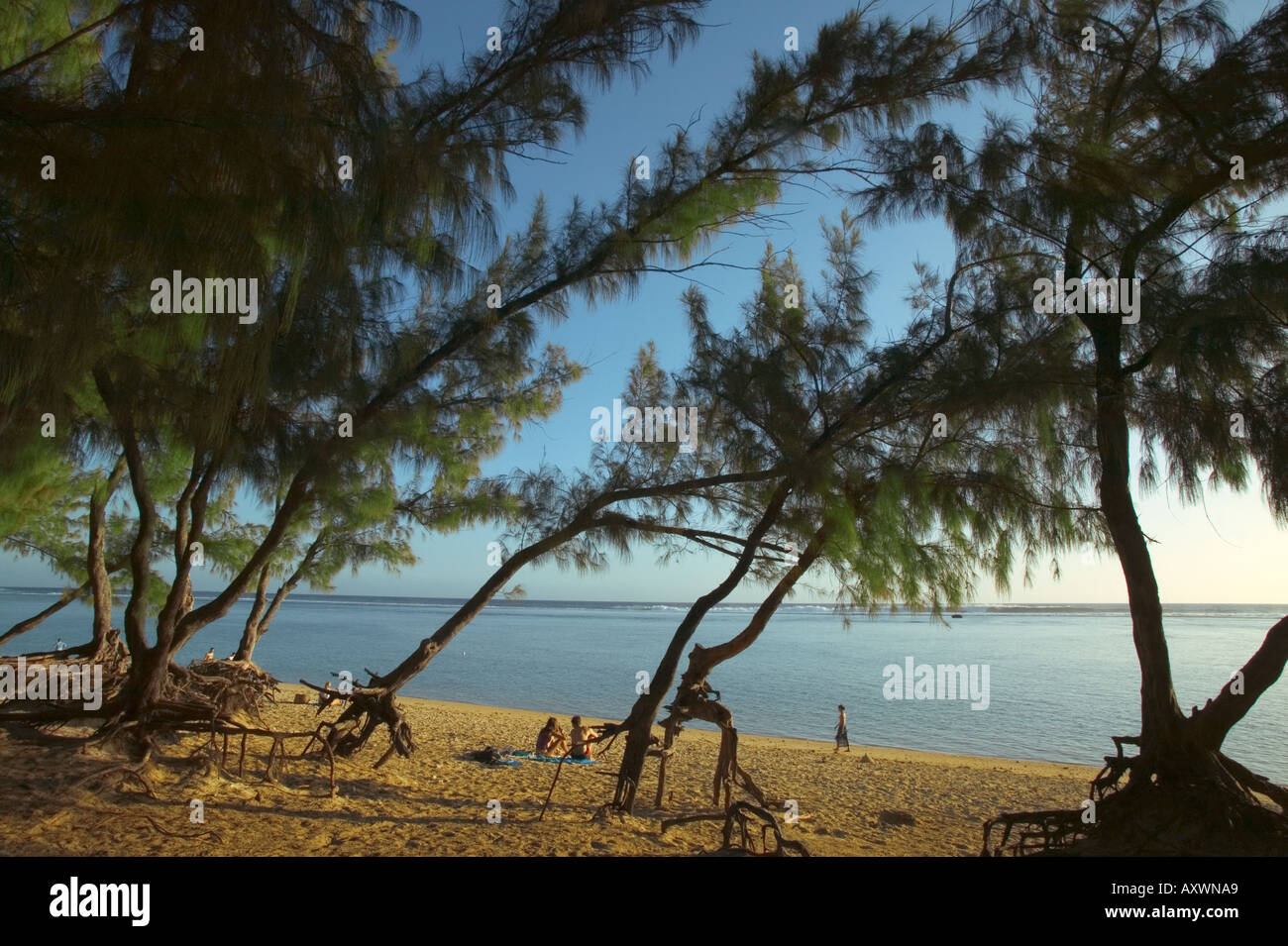 Beach of Etang Salé in Reunion island Stock Photo Alamy
