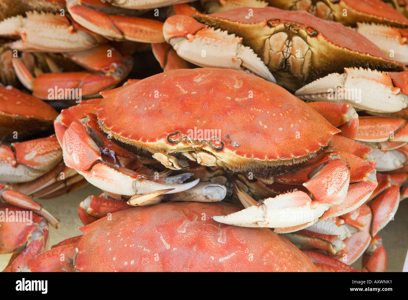 Old Fisherman Wharf, Monterey High Resolution Stock Photography and