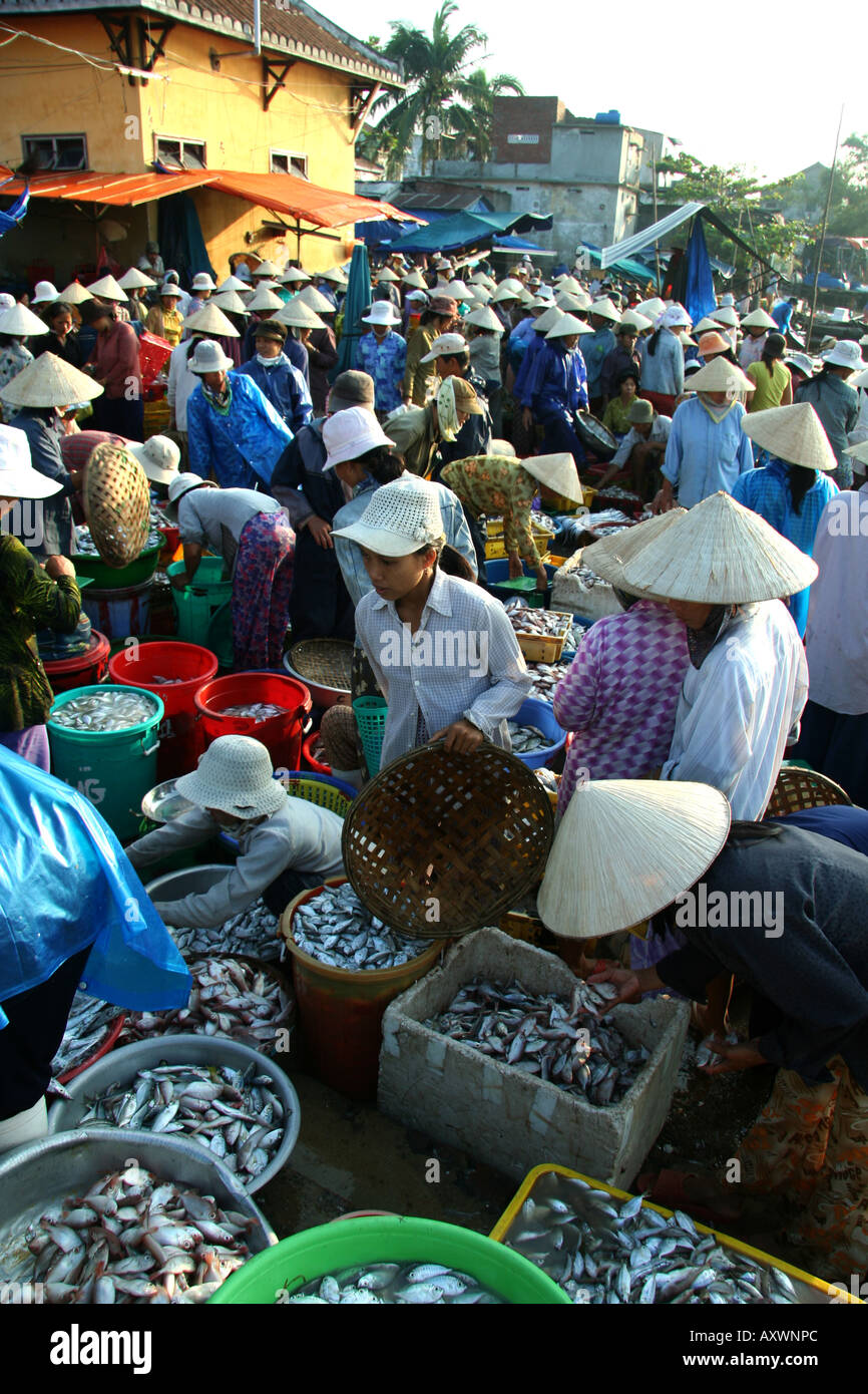 Hoi An Fish Market Stock Photo
