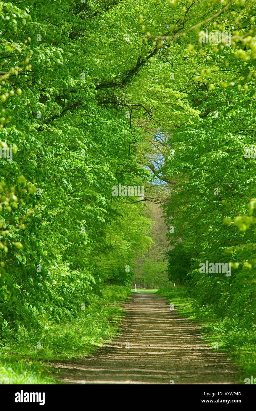 Compiegnes hi-res stock photography and images - Alamy