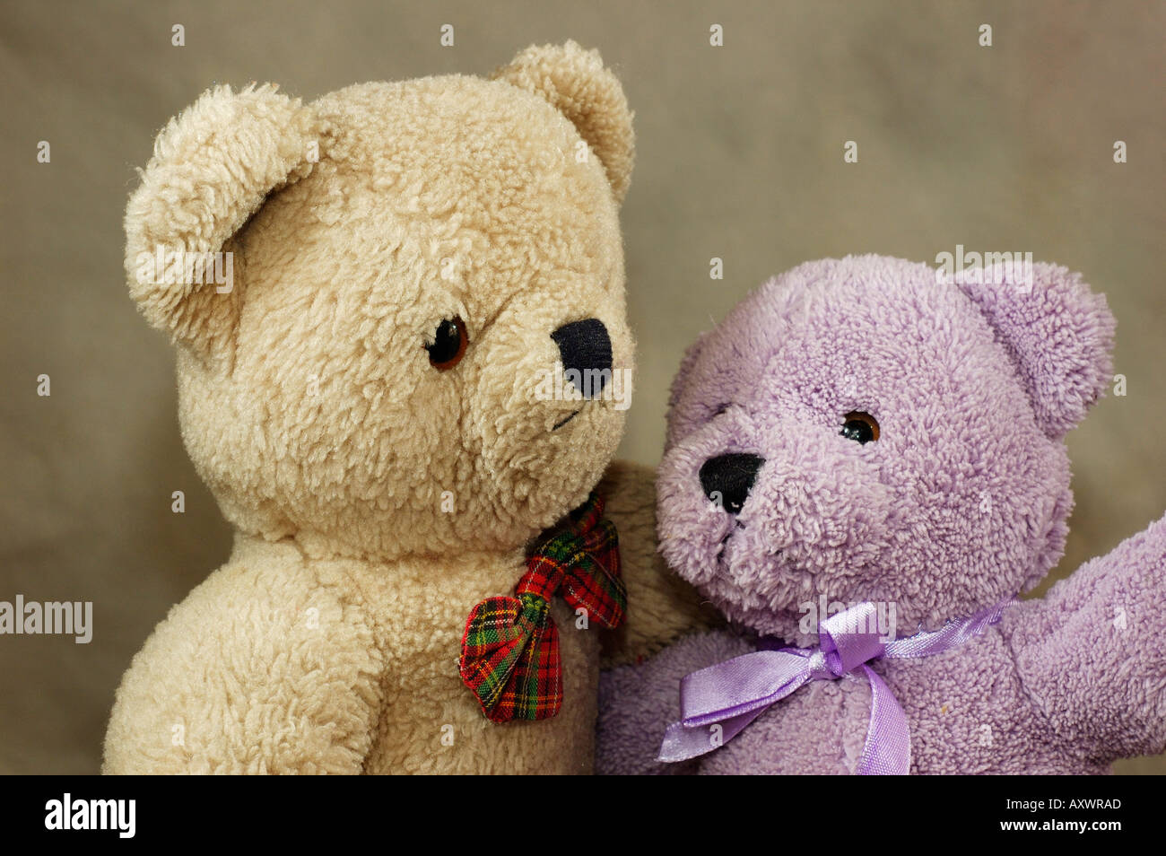 2 teddy bears in love 2025