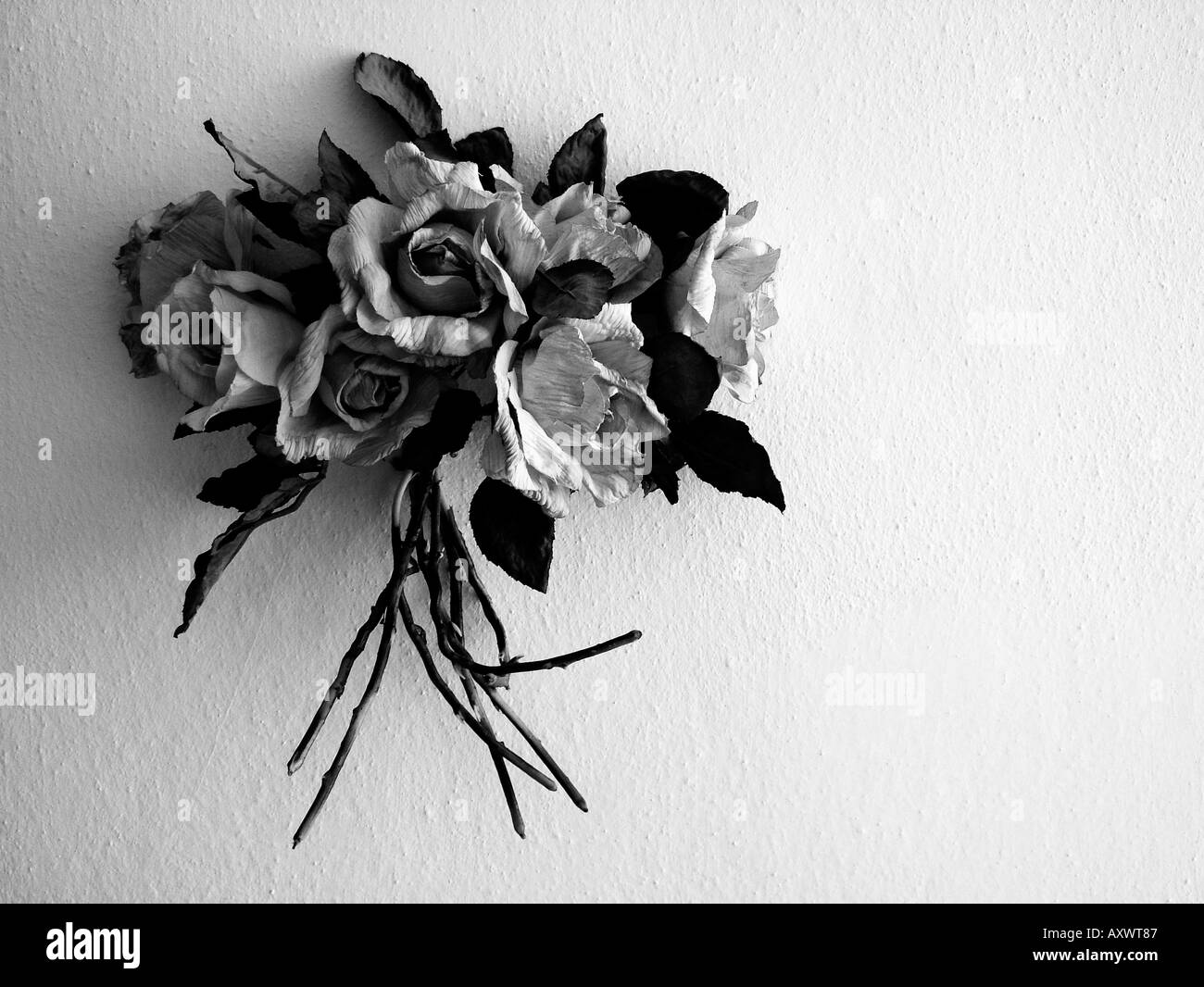 artificial flowers mounted on white wall Stock Photo Alamy