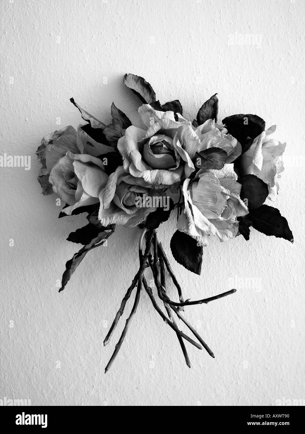 artificial flowers mounted on white wall Stock Photo Alamy