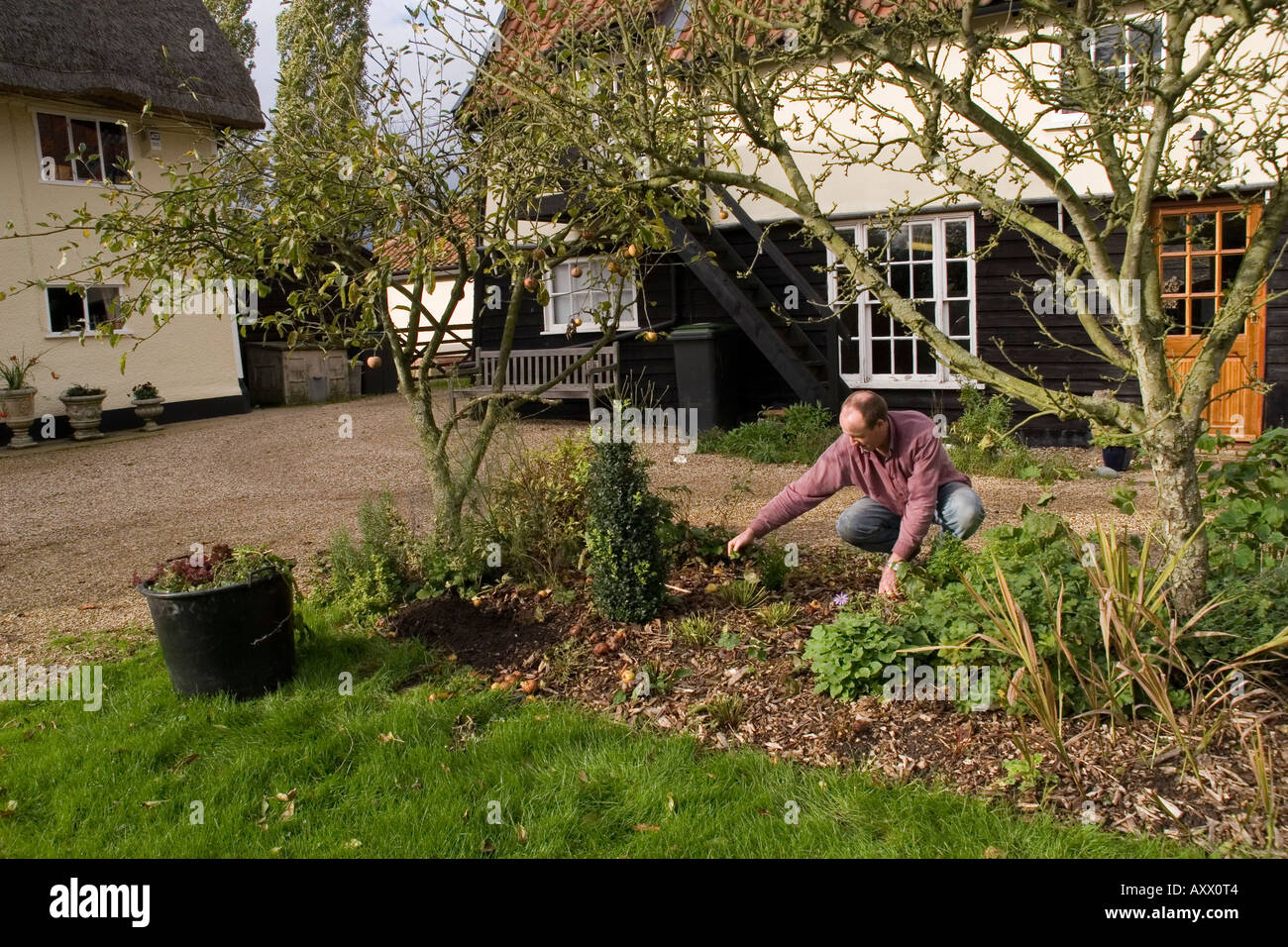 Gardener pulling weeds in flower bed Stock Photo - Alamy