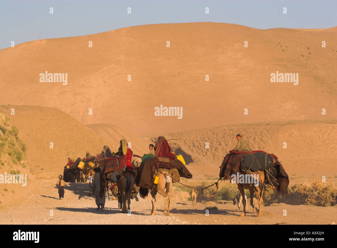 Kuchie nomad camel train, between Chakhcharan and Jam, Afghanistan, Asia Stock Photo