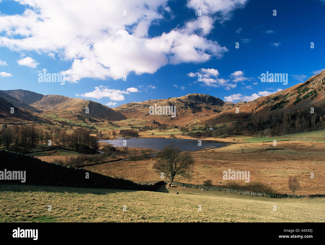View to west across Little Langdale Tarn, Little Langdale, Lake District National Park, Cumbria, England, United Kingdom (U.K.) Stock Photo
