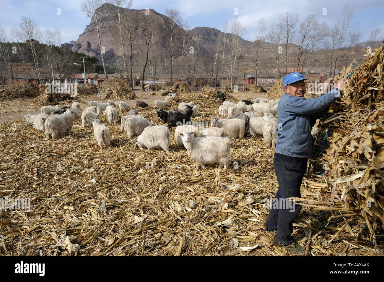 A village in Chicheng county, Hebei province, China. 27-Mar-2008 Stock Photo