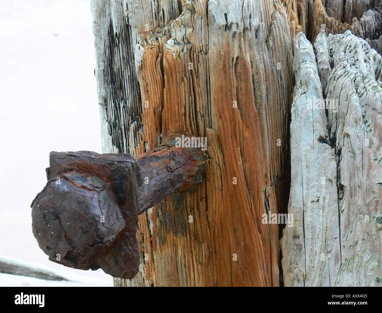 rusty old bolt Stock Photo Alamy