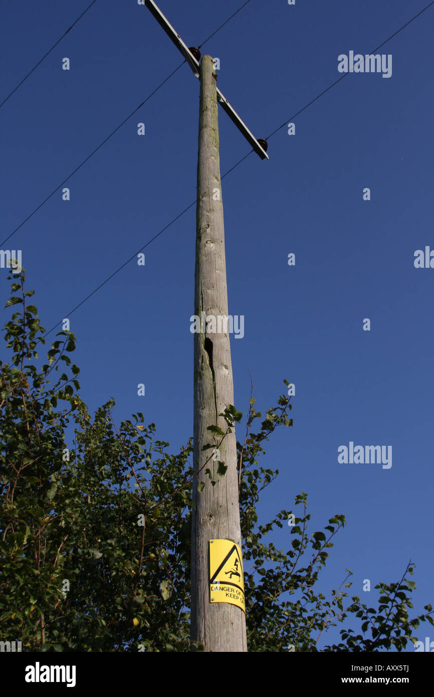 Woodpecker damage to electricity power pole Stock Photo Alamy