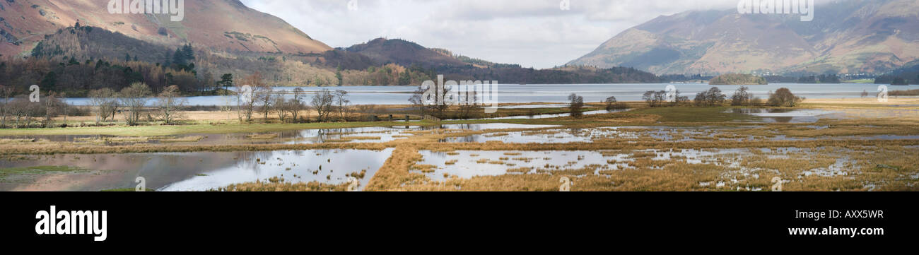 Derwent water, Lake District, Cumbria, England. Panoramic Stock Photo