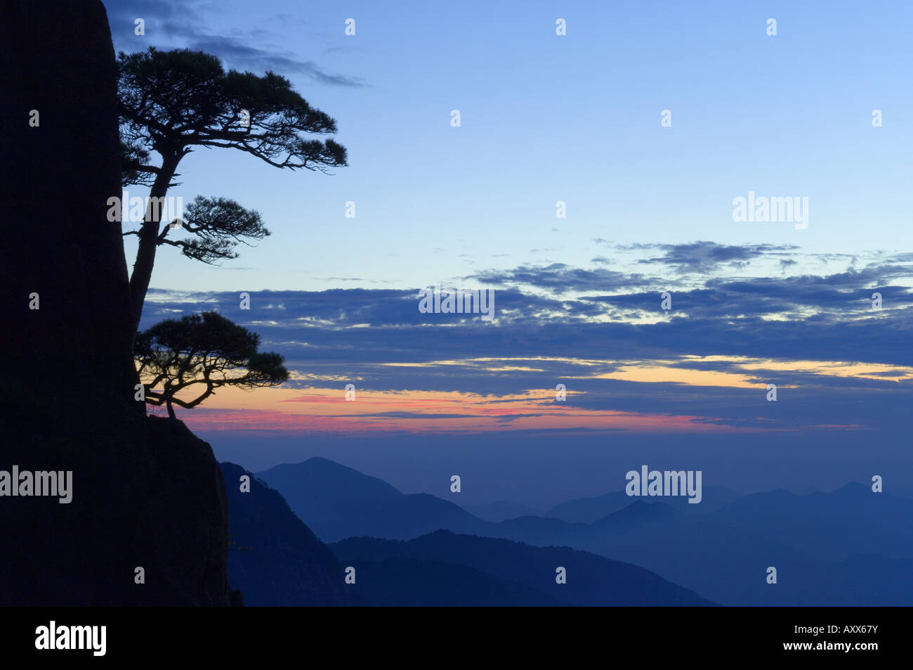 Silhouette of pine tree, White Cloud scenic area, Huang Shan (Mount Huangshan) (Yellow Mountain), Anhui Province, China Stock Photo
