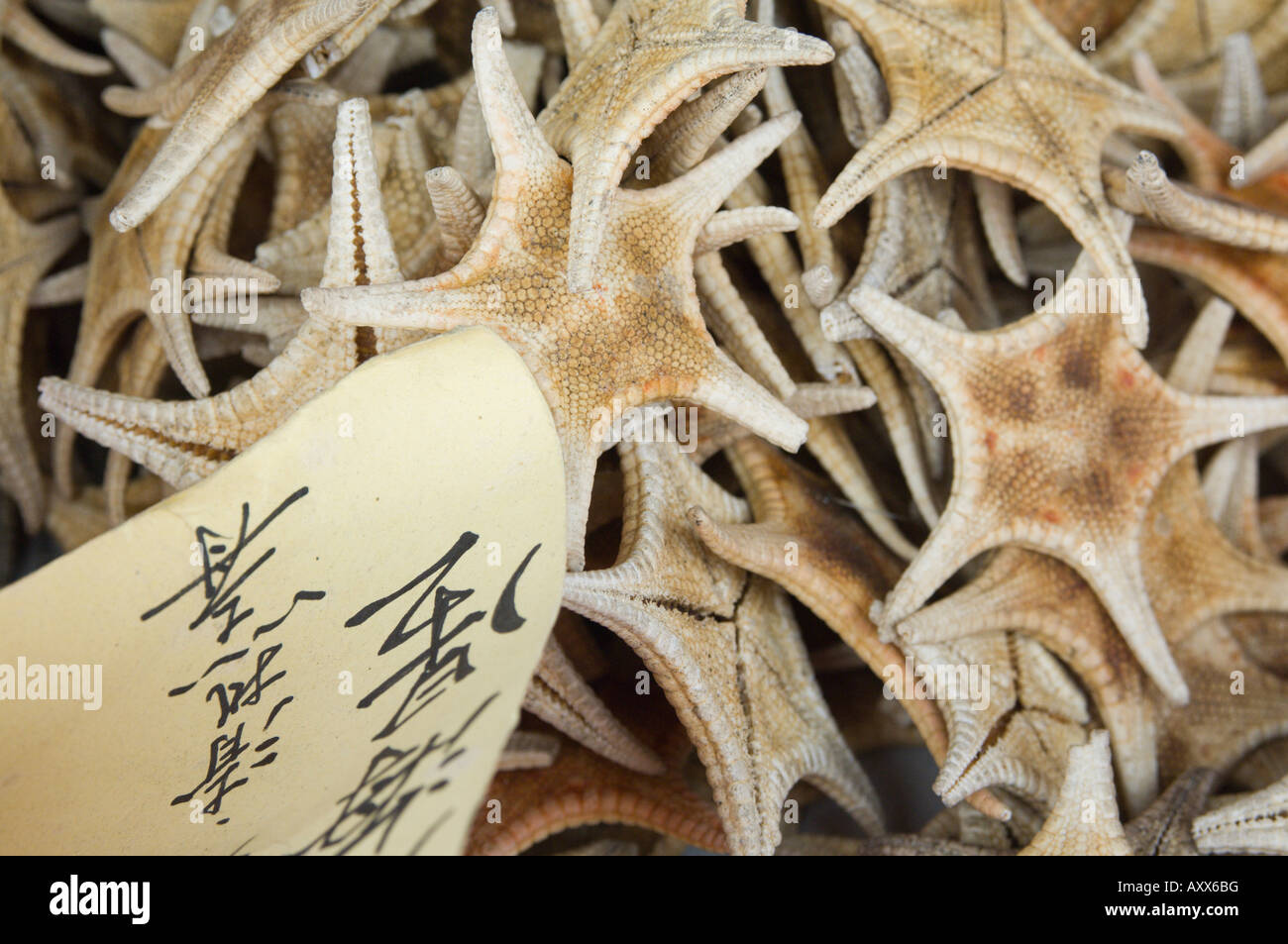 Dried starfish for sale in seafood shop, Chinatown, Singapore, South